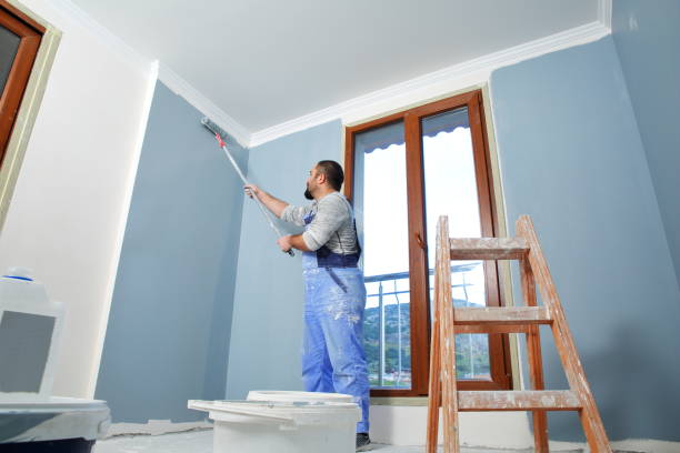 Best Wallpaper Removal and Painting  in Deephaven, MN